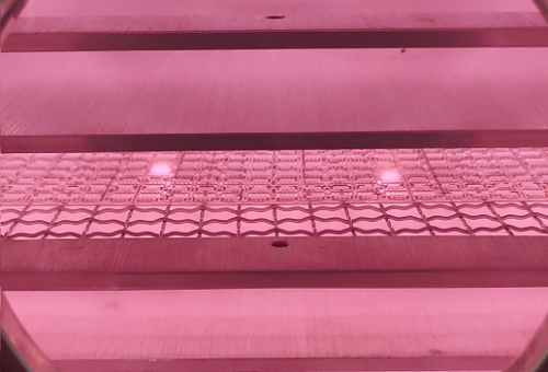 plasma羞羞视频在线播放设备