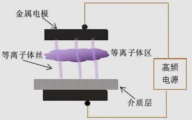 羞羞网站在线看